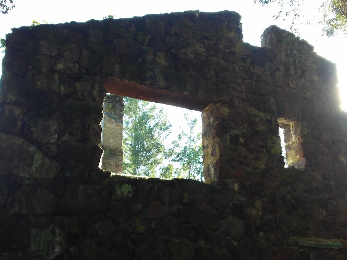 The Wada Test for Philosophers: What is it like to be a proper part of your own brain losing and regaining other proper parts of your&nbsp;brain?